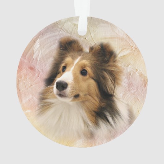 Le sable Sheltie font face (dos)