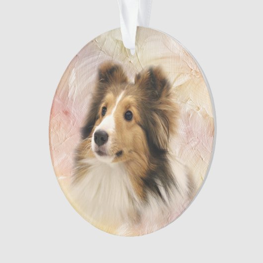 Le sable Sheltie font face (devant)
