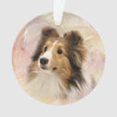 Le sable Sheltie font face (devant)