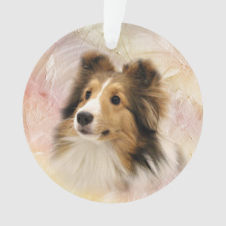 Le sable Sheltie font face