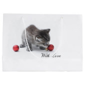 Le sac de cadeau de Noël de Purrfect (Dos)