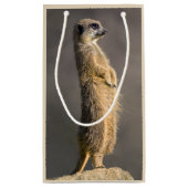 Le sac de cadeau de sentinelle (Dos)