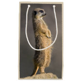 Le sac de cadeau de sentinelle (Devant)