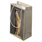 Le sac de cadeau de sentinelle (Dos Angle)