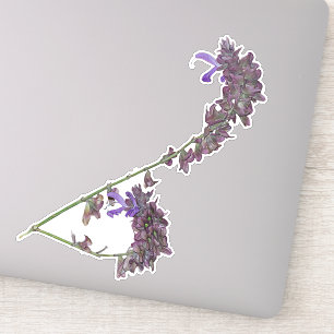Le Sage Claire Des Herbes Sticker en vinyle