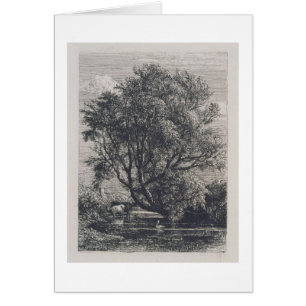 Le saule (gravure à l'eau-forte)