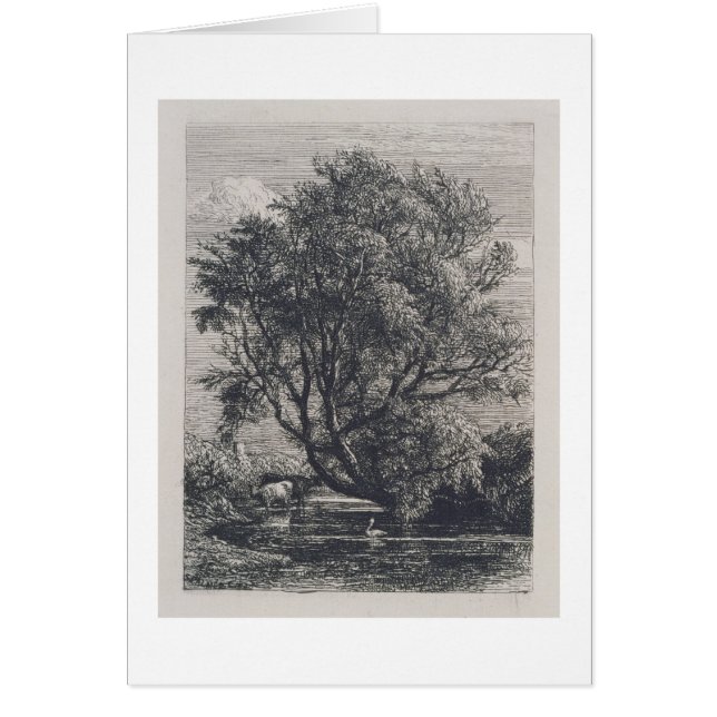 Le saule (gravure à l'eau-forte) (Devant)