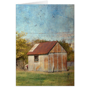 Le Shed