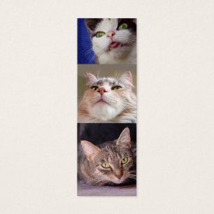 Le signet de Catlovers