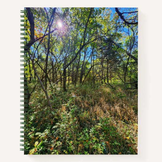 Le Soleil dans le Carnet des arbres sous dominatio (Devant)