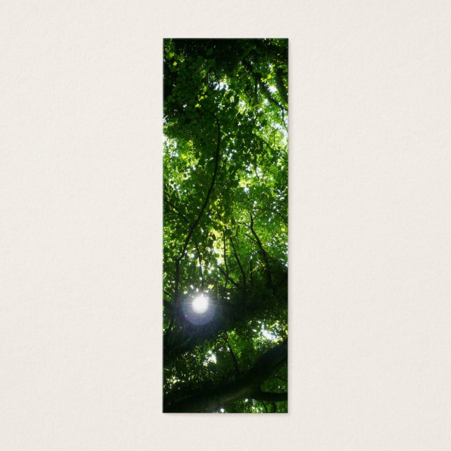 Le soleil dans le Signet des arbres (Devant)