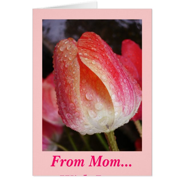 Le Soleil Sort, De Maman... Avec amour (Devant)