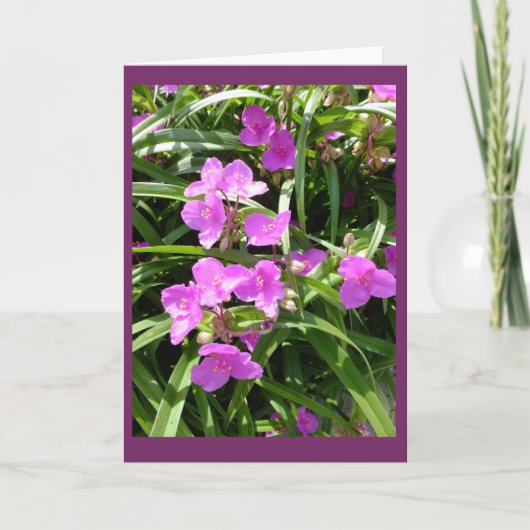 Le Spiderwort fleurit la carte vierge de la note (Devant)