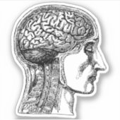 Le Sticker Médicale d'illustration du cerveau huma (Devant)