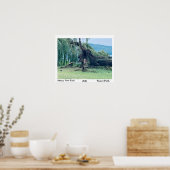 LE STORM STUART PARK 2021 POSTER (Cuisine)