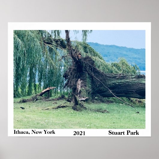 LE STORM STUART PARK 2021 POSTER (Devant)