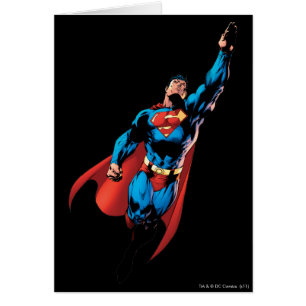 Le Superman Soars
