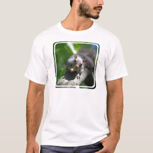 Le T-shirt des hommes à noix d'écureuil