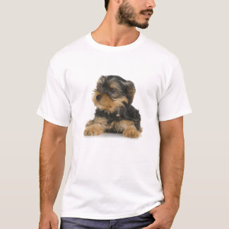 Le T-shirt des hommes de Yorkshire Terrier
