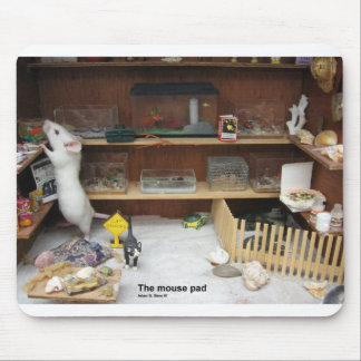 Le tapis de souris