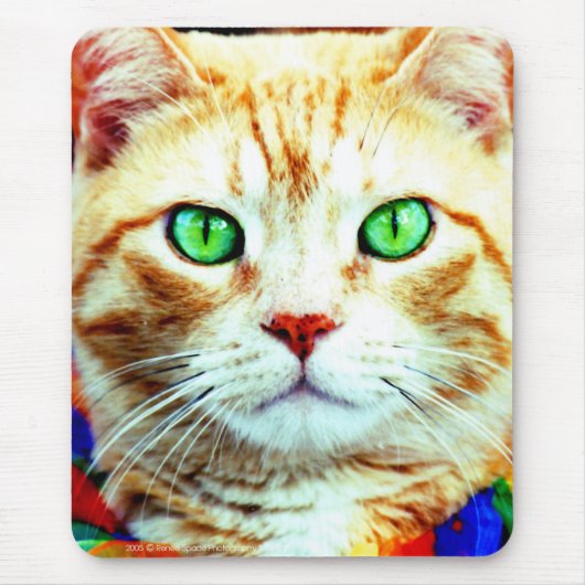 le tapis de souris (Devant)