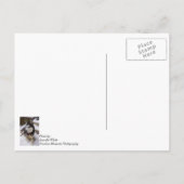 Le Temps De Penser À Votre Carte Postale (Dos)