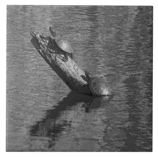 Le temps de tortue chronomètre deux le carreau de (Devant)