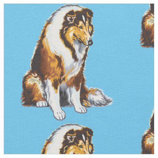 Le tissu de collie rugueux (Fermer)