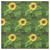 Le tissu de TOURNESOL (Échantillon)
