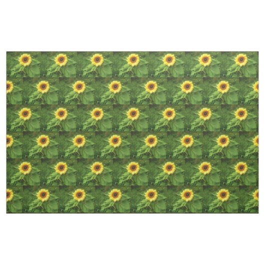 Le tissu de TOURNESOL (Fat Quarter)