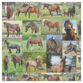 Le tissu fait sur commande de l'amant de cheval (Fermer)