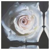 Le tissu rose blanc (Fermer)