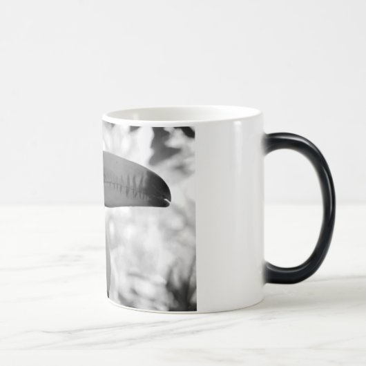 Le toucan Morph la tasse (Droite)