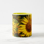 Le tournesol fleurit la tasse florale de jardin (Centre)