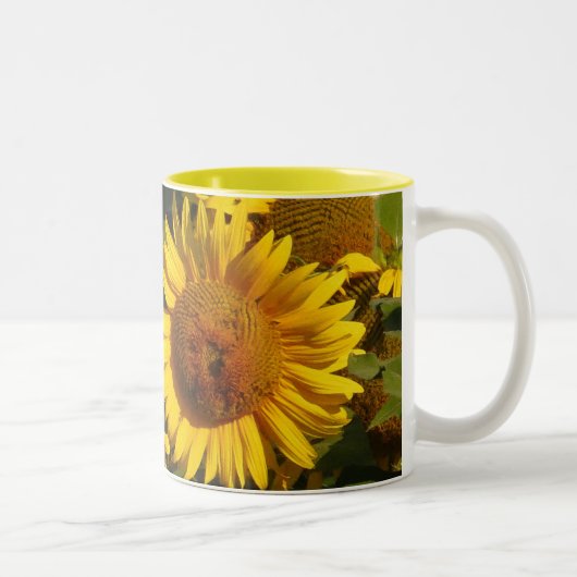 Le tournesol fleurit la tasse florale de jardin (Droit)