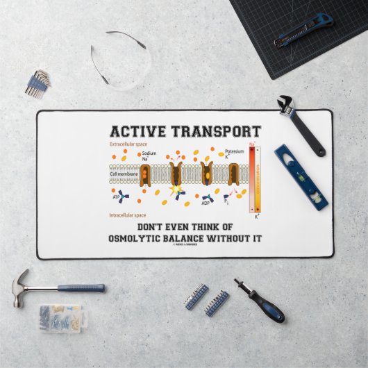 Le transport actif ne pense pas à l'équilibre osmo (Poste de travail)