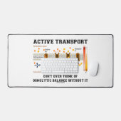 Le transport actif ne pense pas à l'équilibre osmo (Clavier et souris)