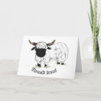 Le Valais reconnaît les moutons - Merci Ewe!