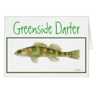 Le vert a dégrossi carte de Darter