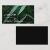 Le vert frais laisse le carte de visite de (Devant / Derrière)