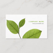 Le vert laisse le carte de visite (Dos)