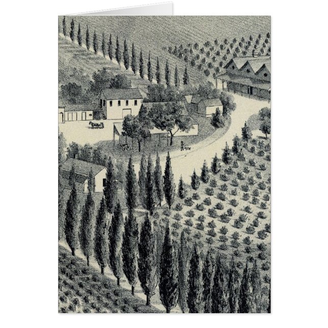 Le vignoble d'Eggers, Fresno (Devant)