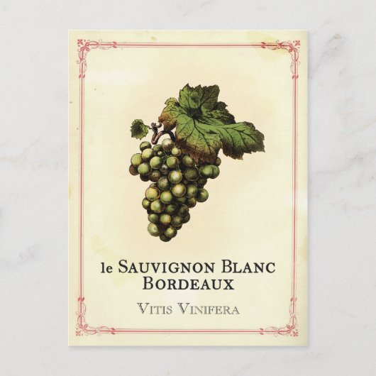 Le Vin Blanc Briefkaart (Voorkant)