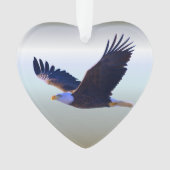 Le vol d'aigle à tête blanche (devant)