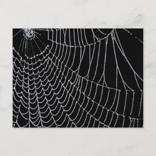Le Web de Spider   Carte postale