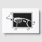 Le X-Ray du chien (Recto)