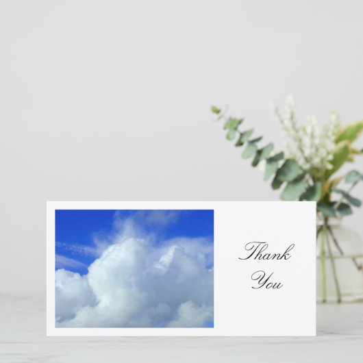 Le Yonder bleu - Merci (Debout devant)