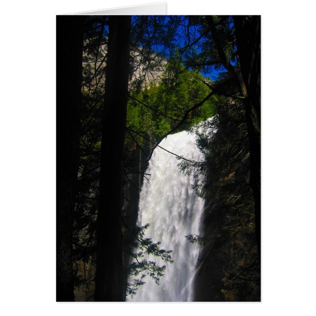 le yosemite tombe dans les arbres (Devant)