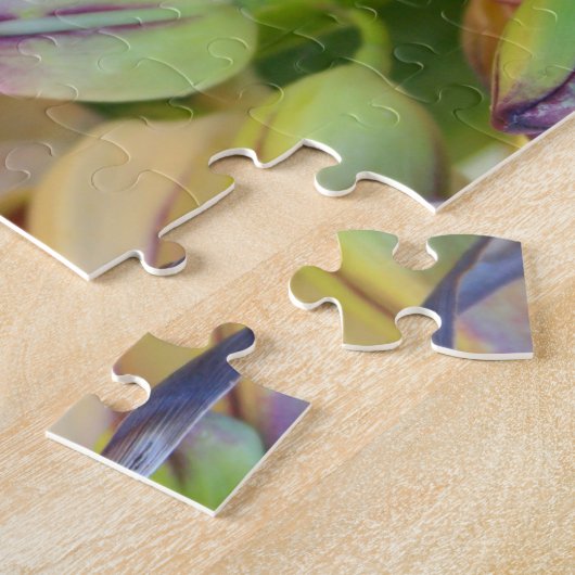 le yucca fleurit le puzzle denteux (Côté)