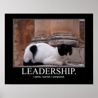 Leadership Cat Artwork Poster